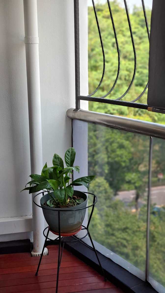 Sabari's room