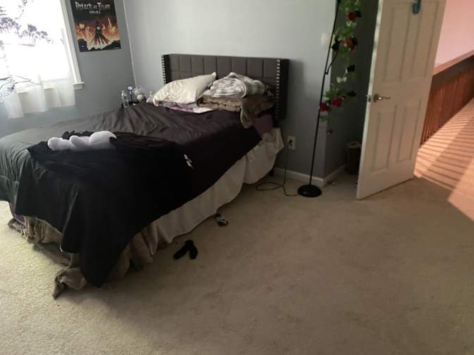 Alcove Rooms's room