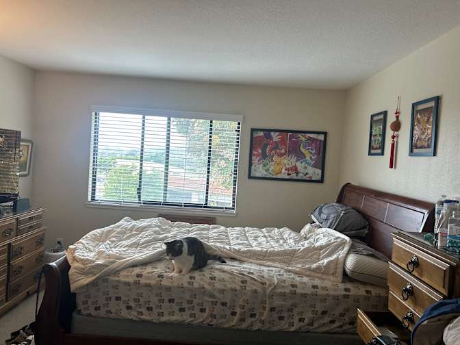 Cassidy's room