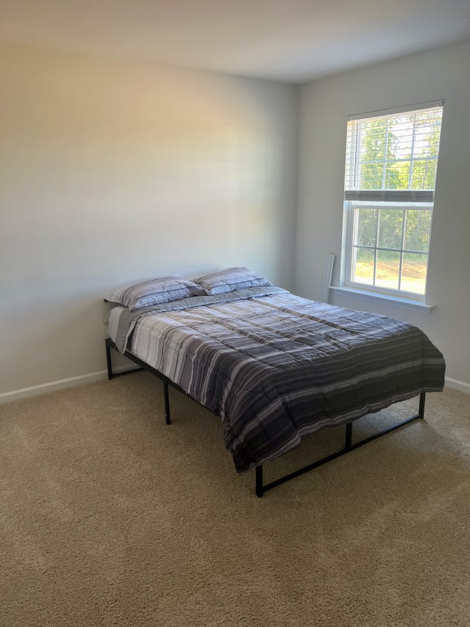 Taz's room