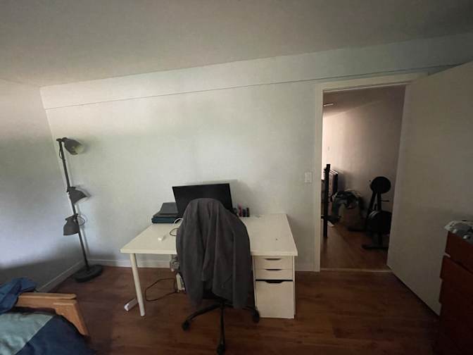 Pari Moradi's room