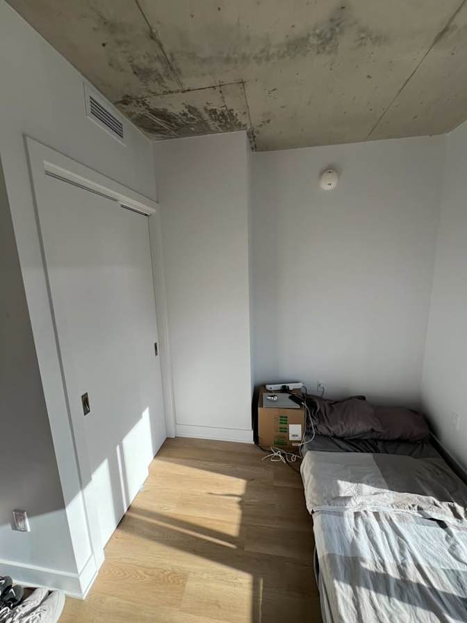 Sophia's room