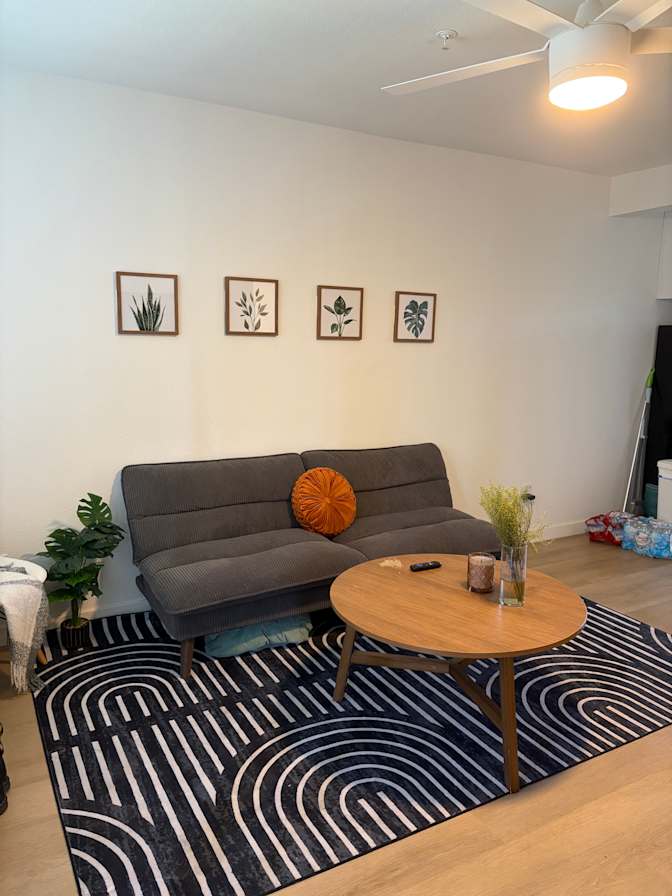 Xinmeng Sun's room