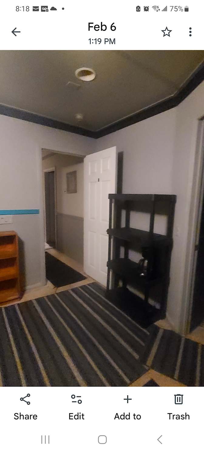 Bear's room