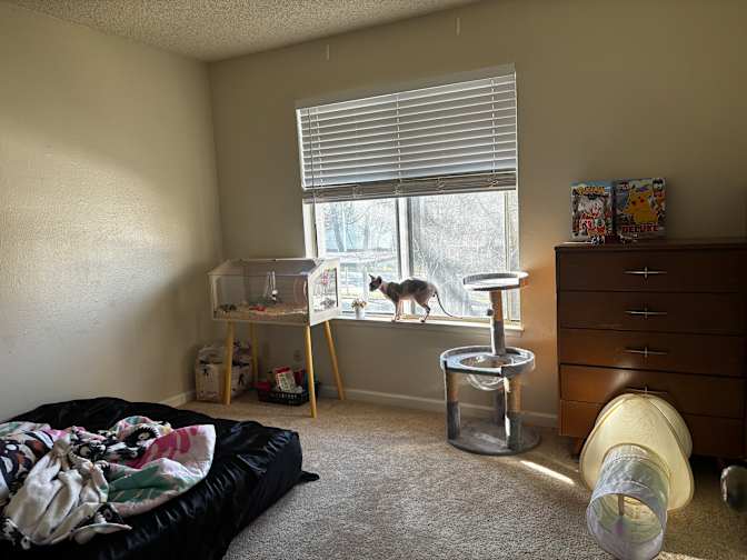 Mikaela's room