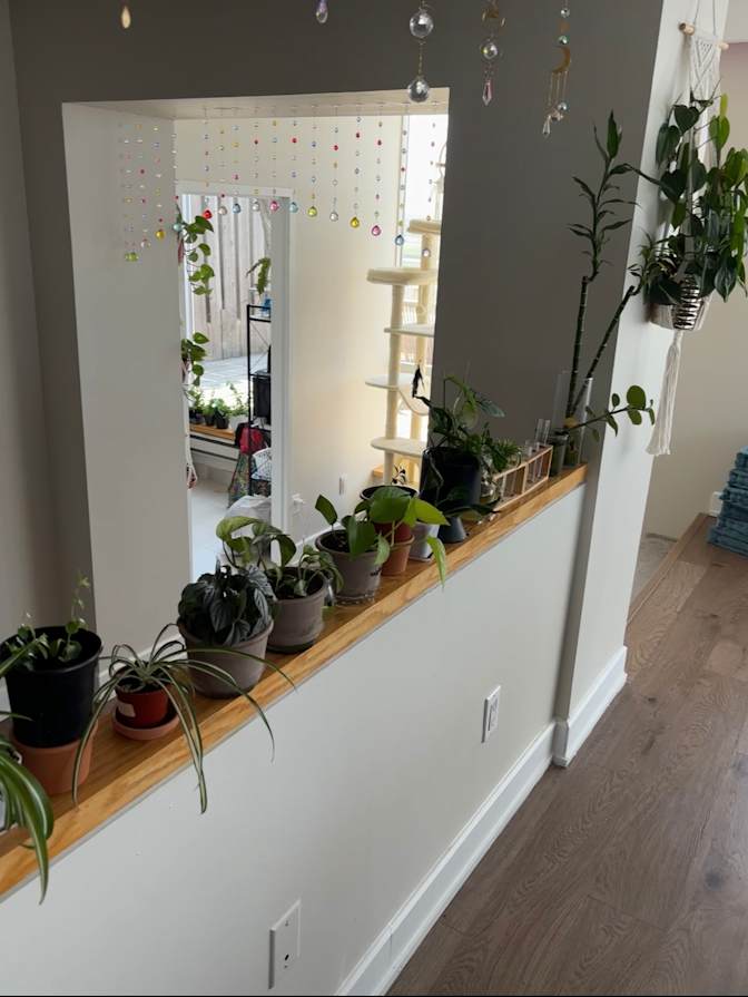 navi's room