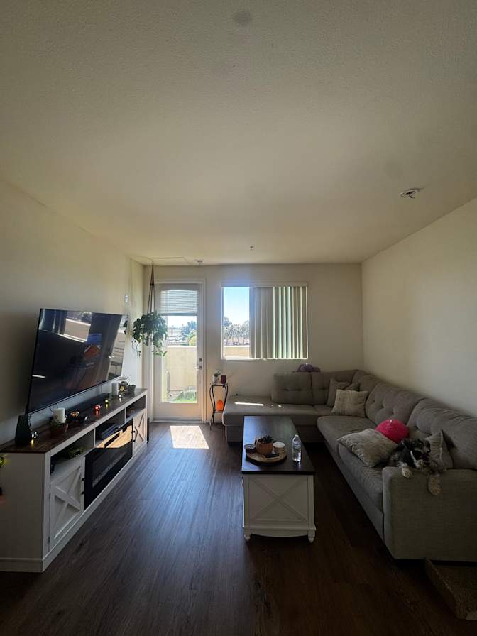 Cameron's room