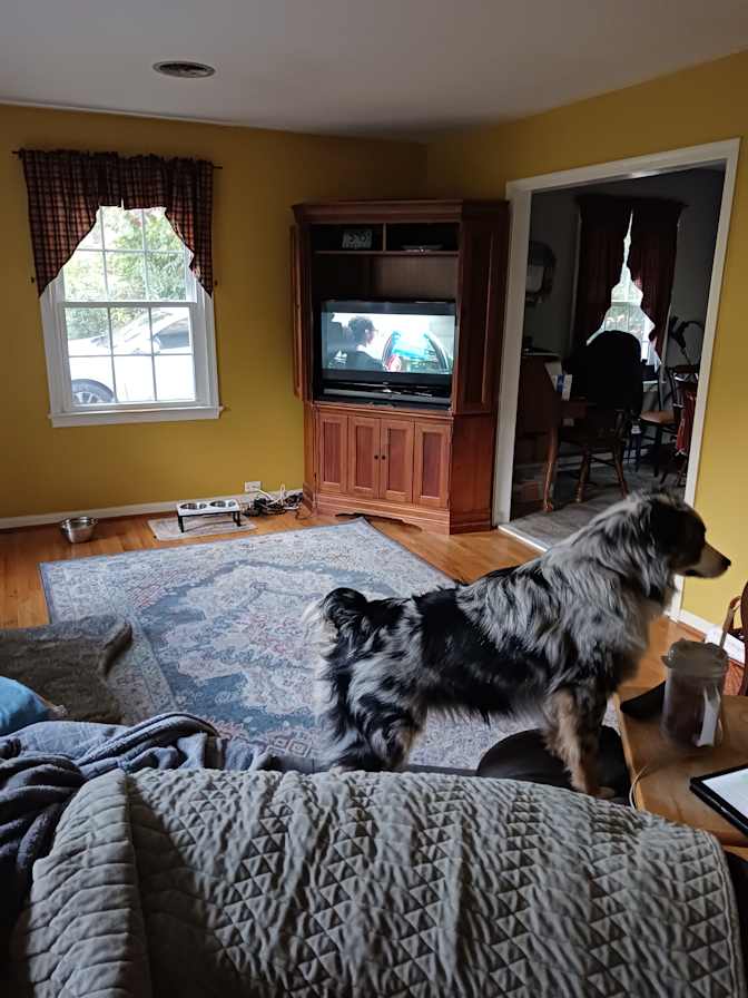 Jeremy's room