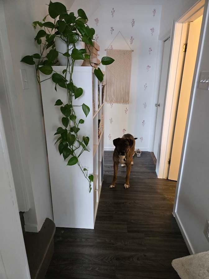 Julie's room