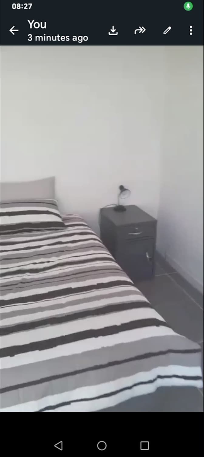 Sharky bester's room