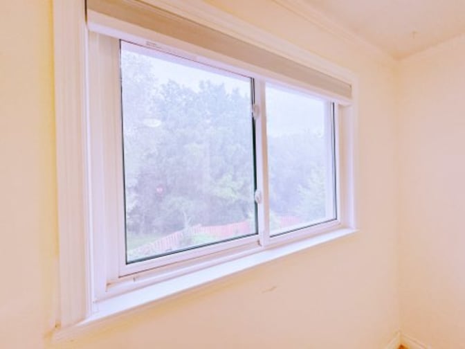 Lily's room