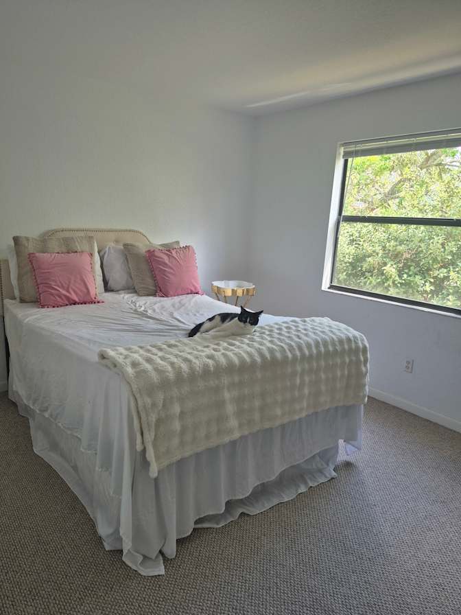 Shan's room
