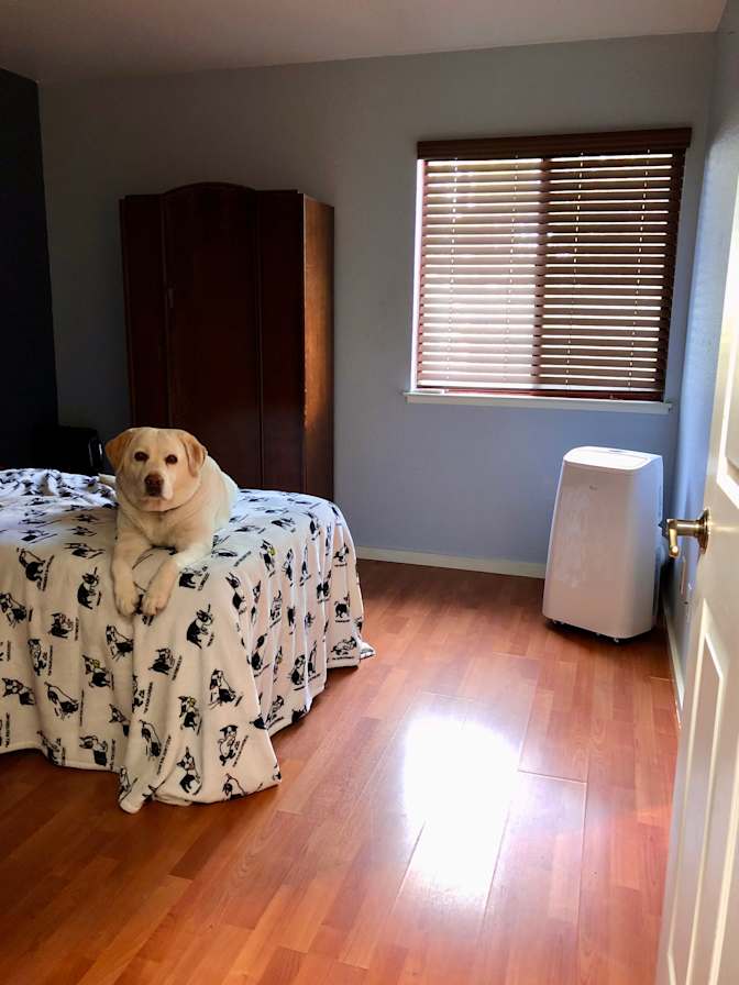 Brian's room