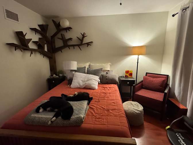 Allix's room