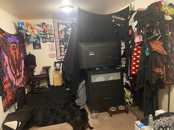 Maddi's room
