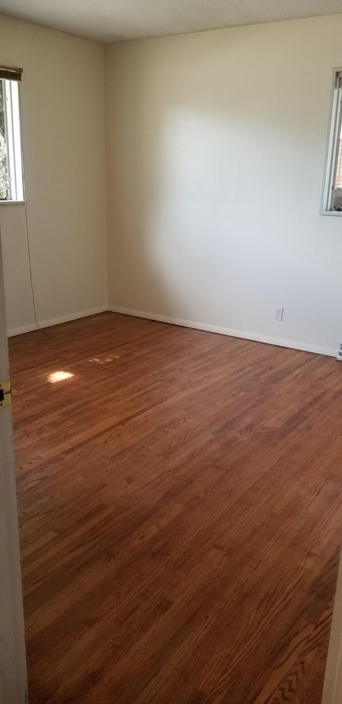 Renee Room's room
