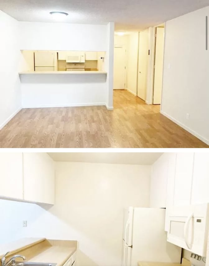 Rachel's room
