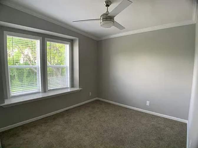 shari leiterman's room