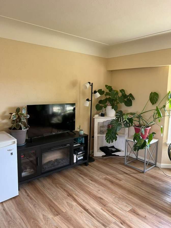 Wendy's room