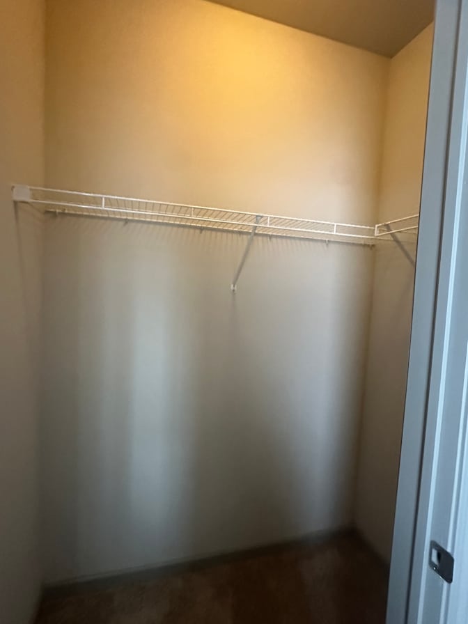 Teddy's room