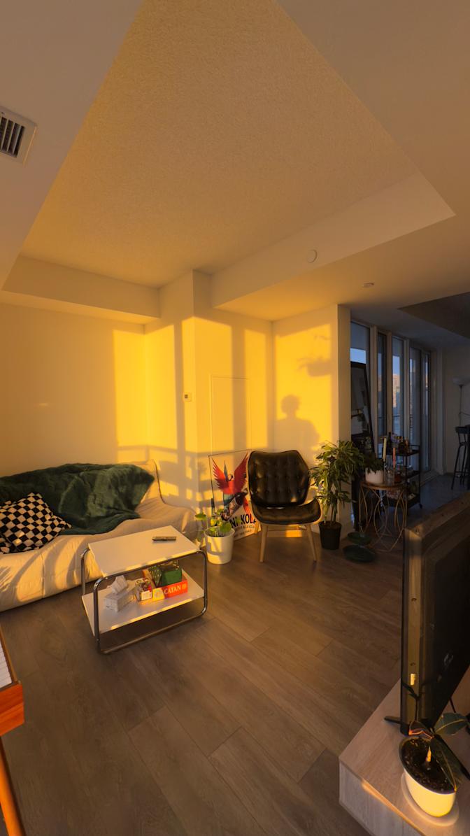 Ghazaleh Babaei Lakeh's room