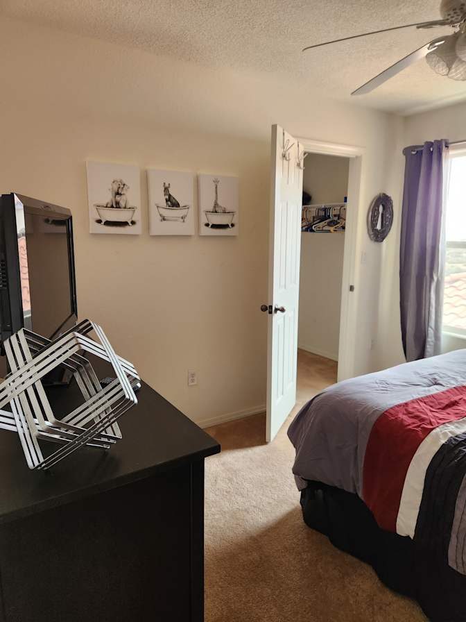 Steve's room