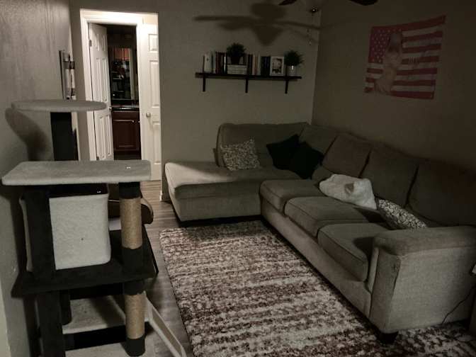 Kayneti's room