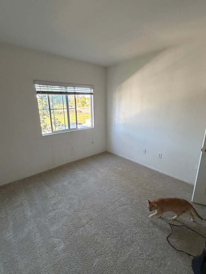 Alexis Ordonez's room