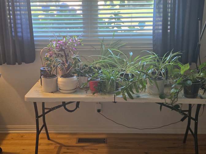 Jeffrey Dolan's room