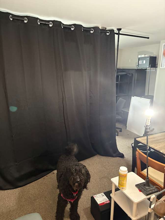 Faust's room
