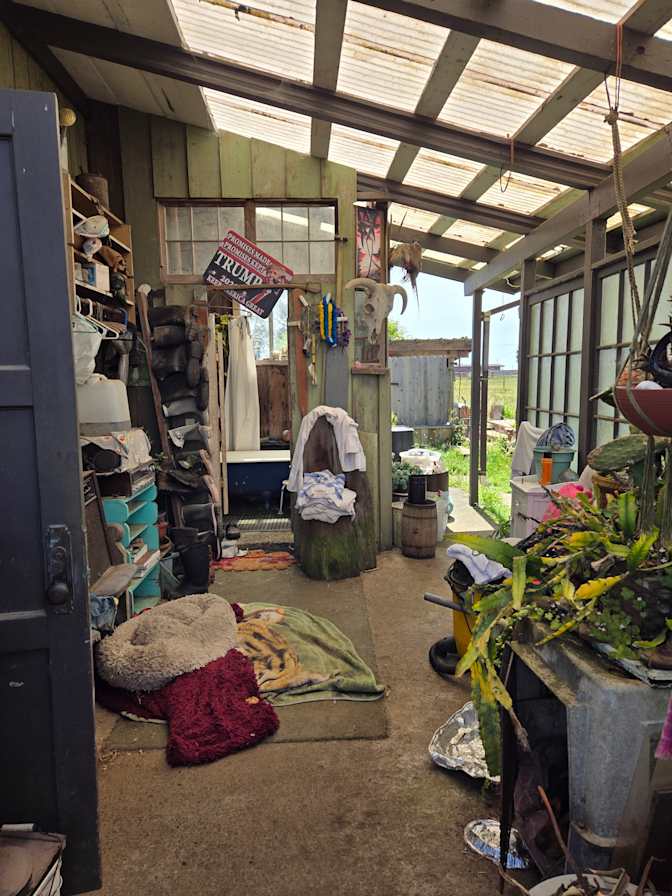Dennis's room