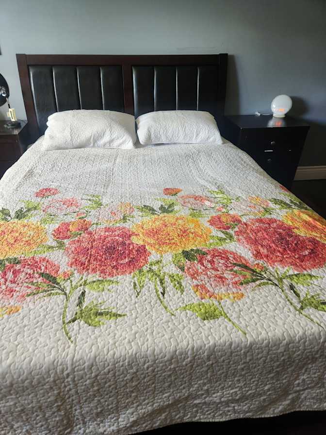 SALLY's room