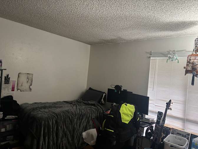 Eliza Ayako's room
