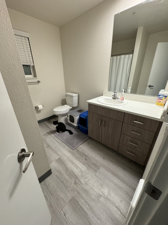 Omar's room