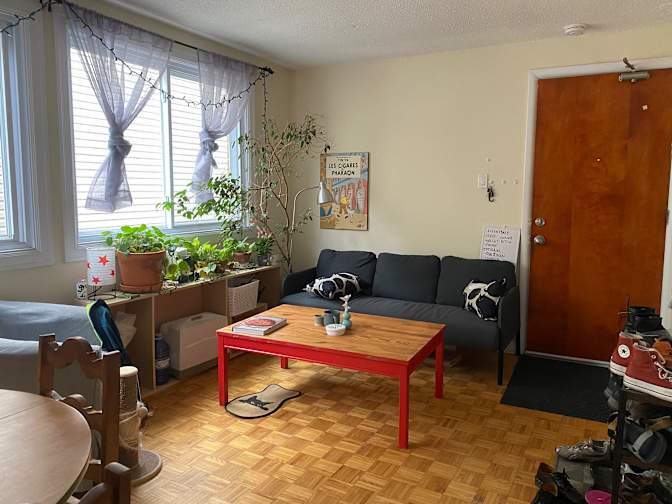 Sheida Mousavi's room