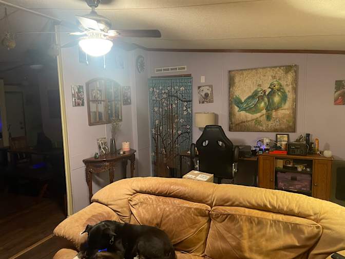 Jeff's room