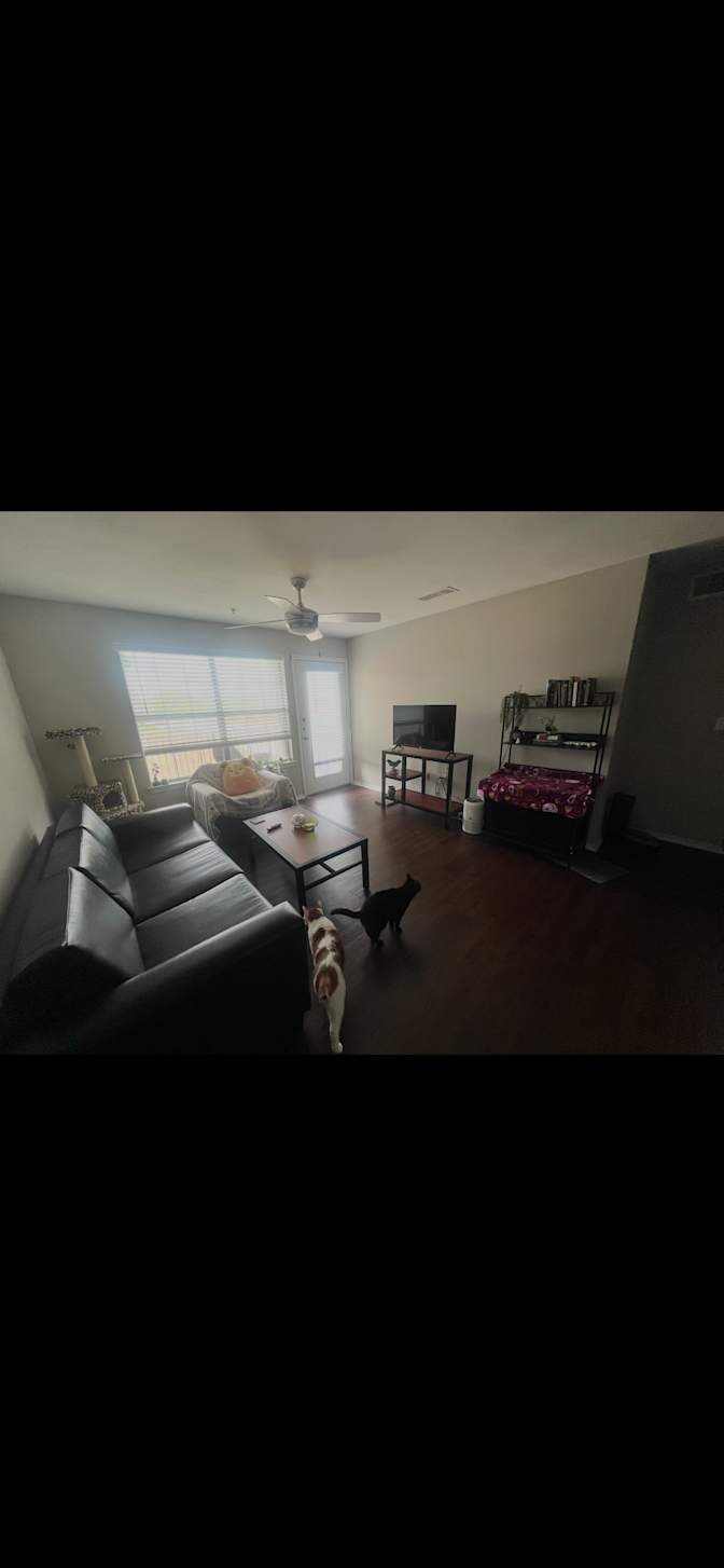Nav's room