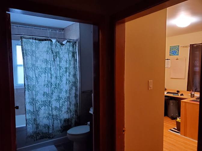 Fady's room