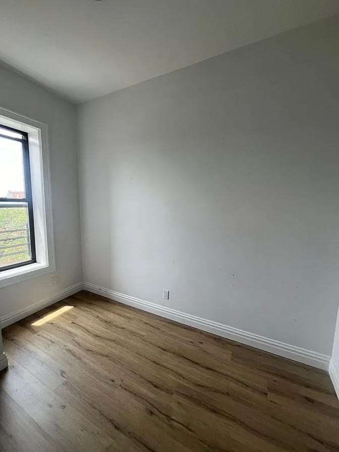 Hawk's room