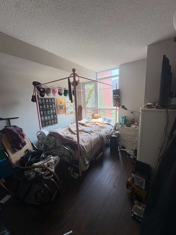Vanesolie's room