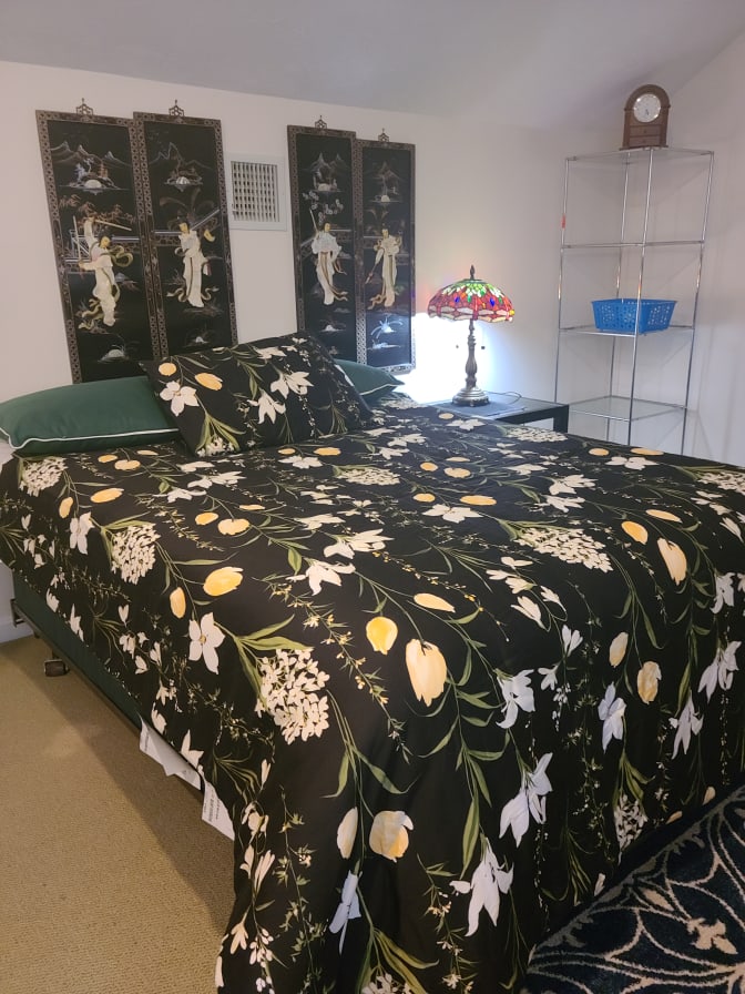 aniesa ali's room