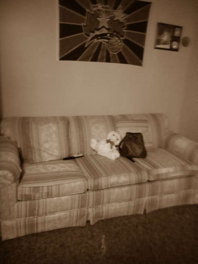 S. Rice's room