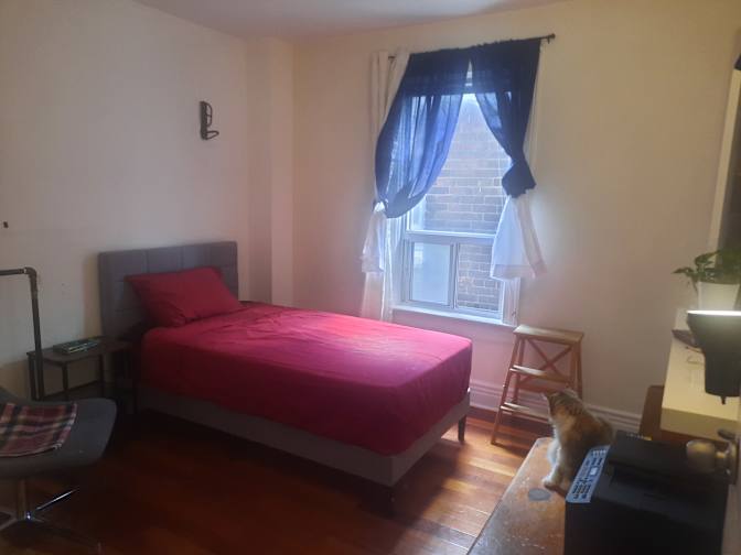 Alyssa's room