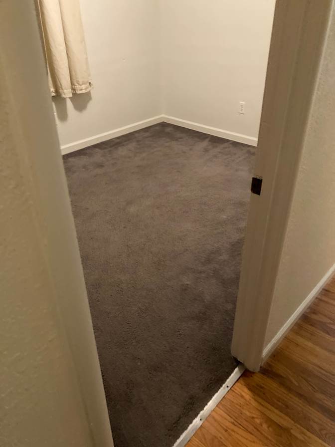 Dino's room