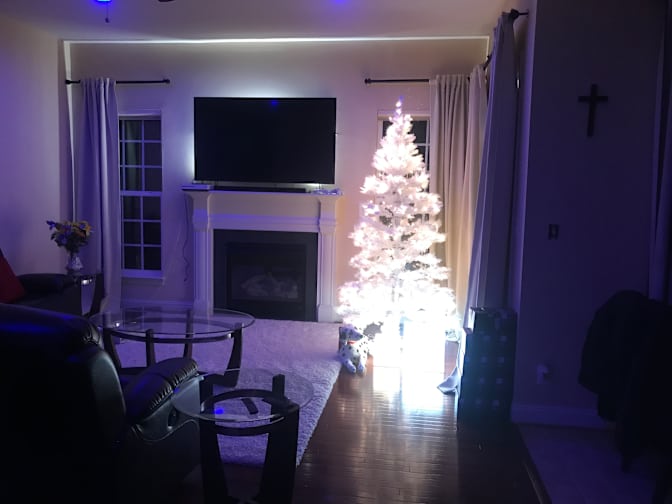 David's room