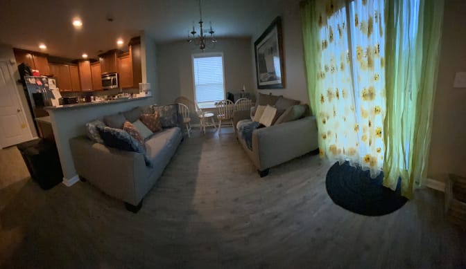 Room for Rent's room