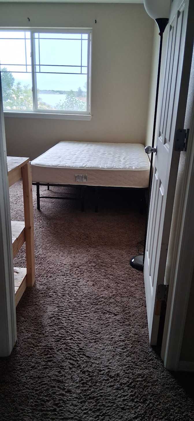 Thea's room