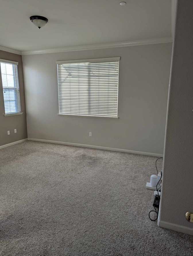 Noah's room