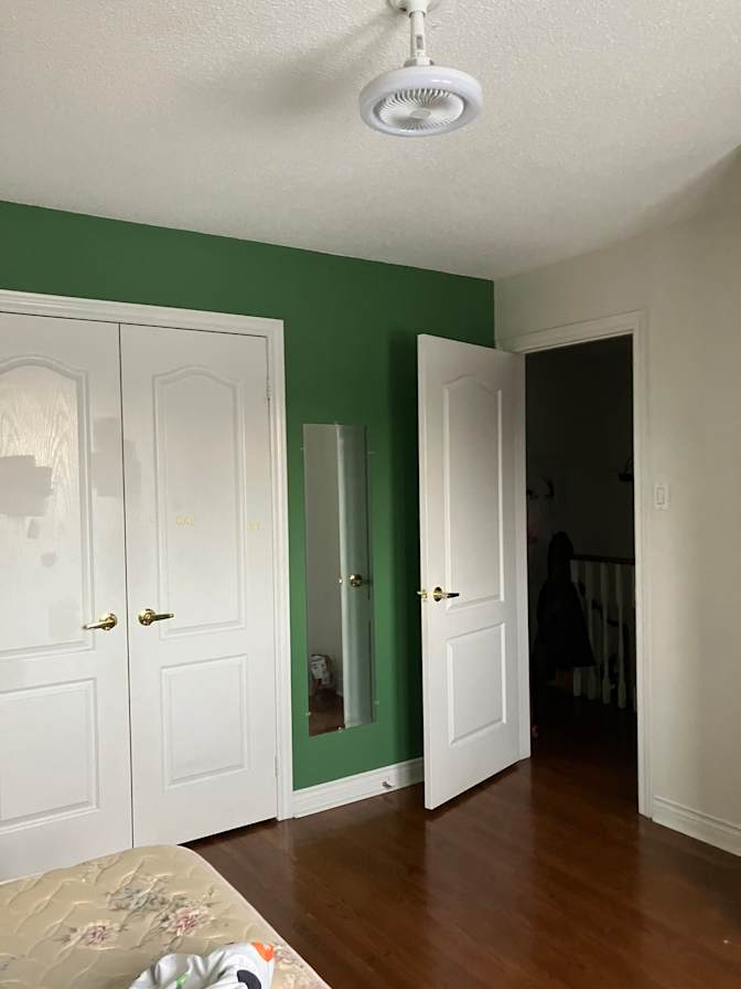 luigi's room
