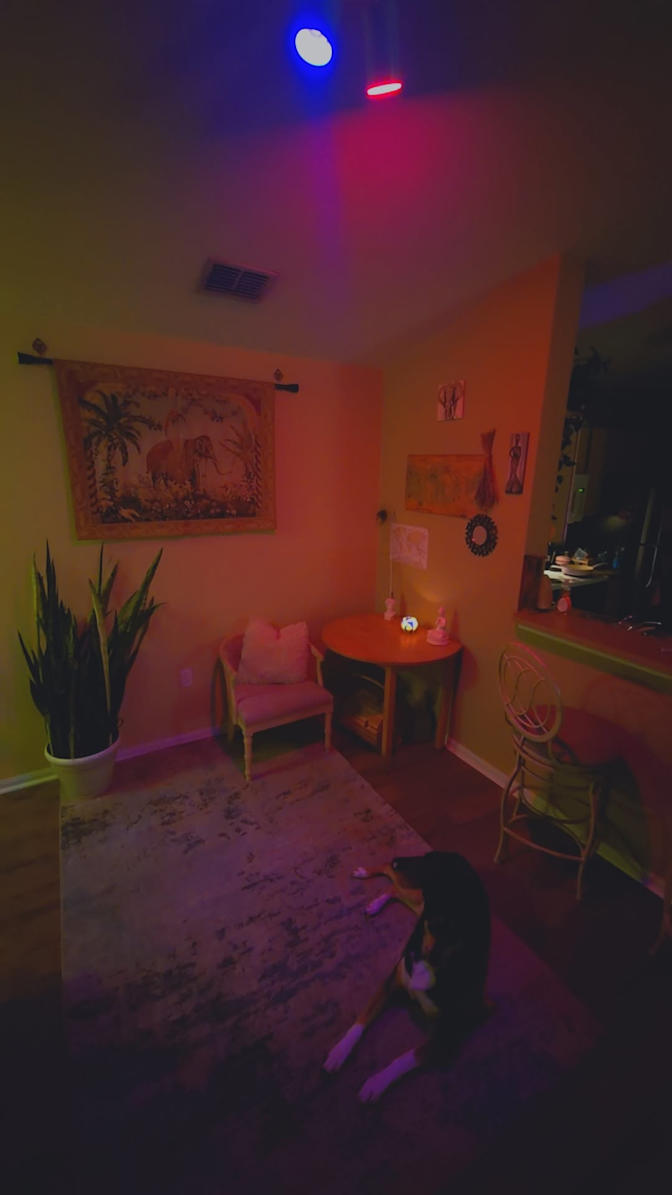 Ashlei's room